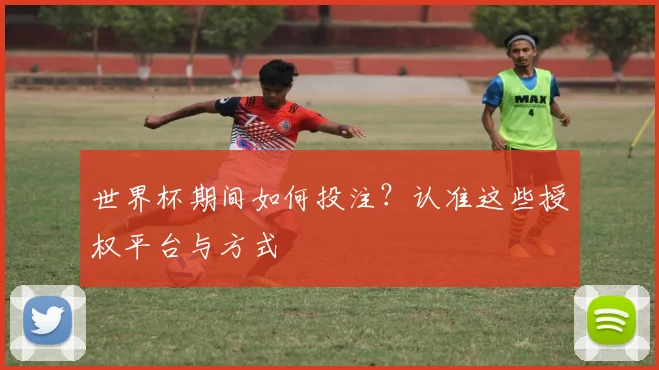 世界杯期间如何投注？认准这些授权平台与方式