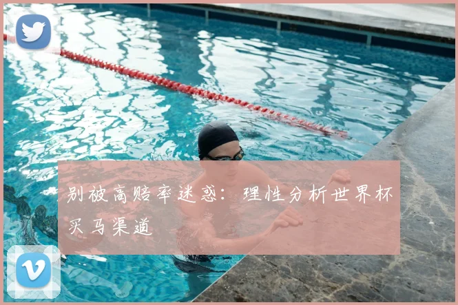 别被高赔率迷惑：理性分析世界杯买马渠道