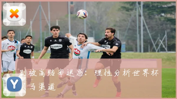 别被高赔率迷惑：理性分析世界杯买马渠道
