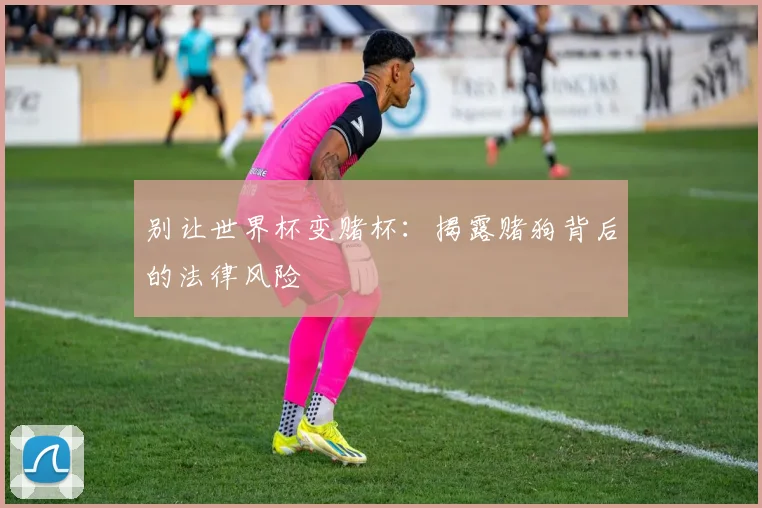 别让世界杯变赌杯：揭露赌狗背后的法律风险
