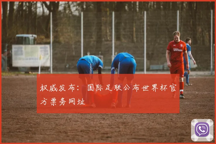 权威发布：国际足联公布世界杯官方票务网址